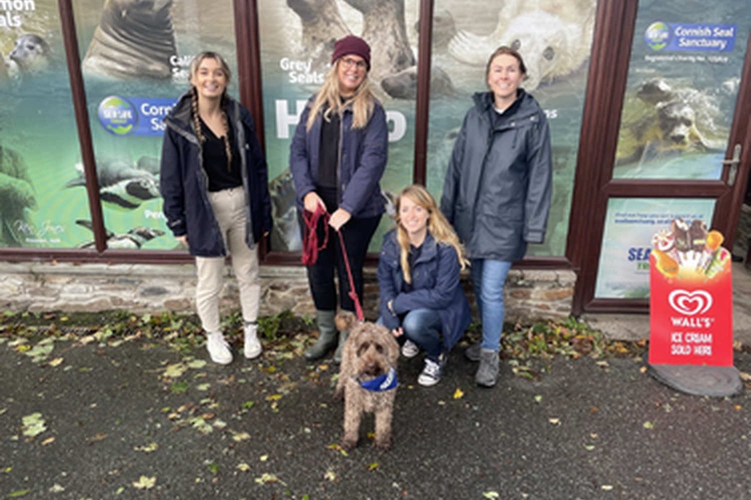 Cornwall Seal Sanctaury joins the search to find a home for