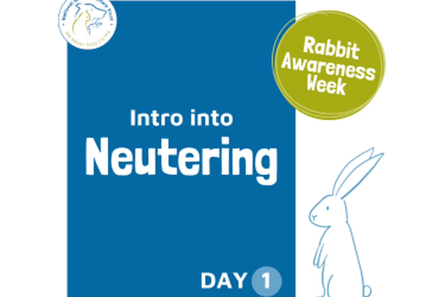 Introduction to neutering rabbits RAW23 National Animal Welfare Trust