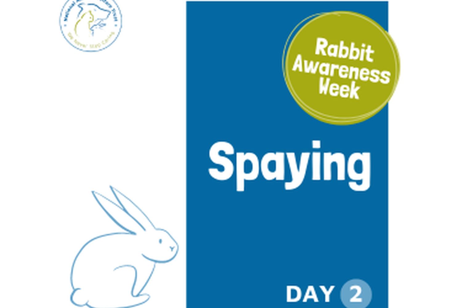 Introduction to spaying rabbits RAW23 National Animal Welfare Trust